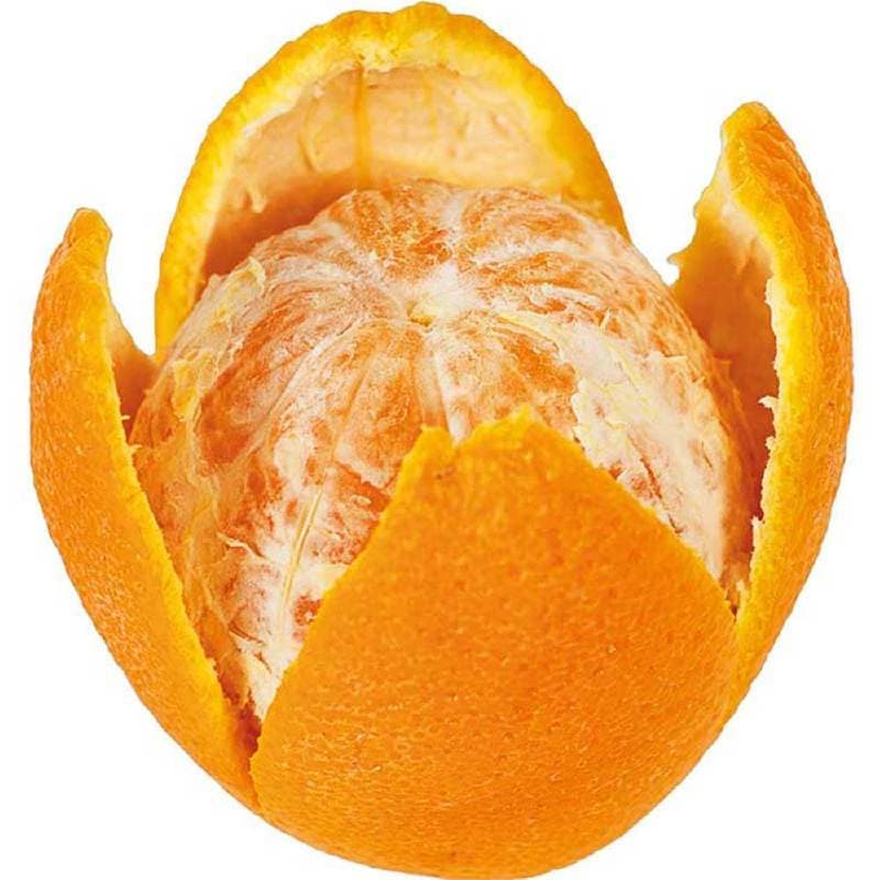 Nóż do obierania cytrusów